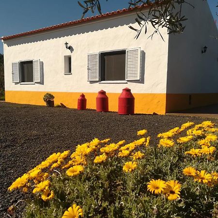 Monte Quinta Verde Ferreira Do Alentejo Buitenkant foto