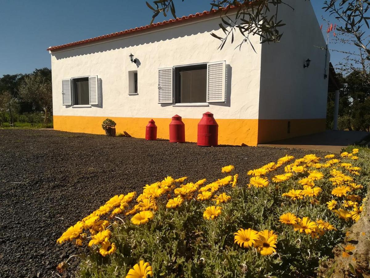 Monte Quinta Verde Ferreira Do Alentejo Buitenkant foto